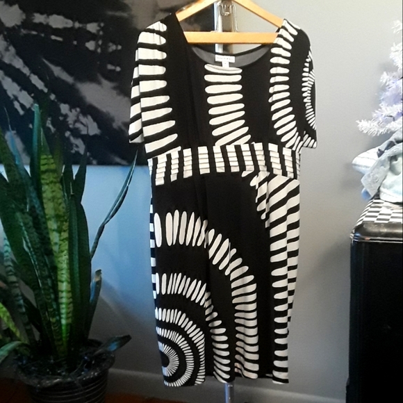 High Contrast Dress - Picture 1 of 3